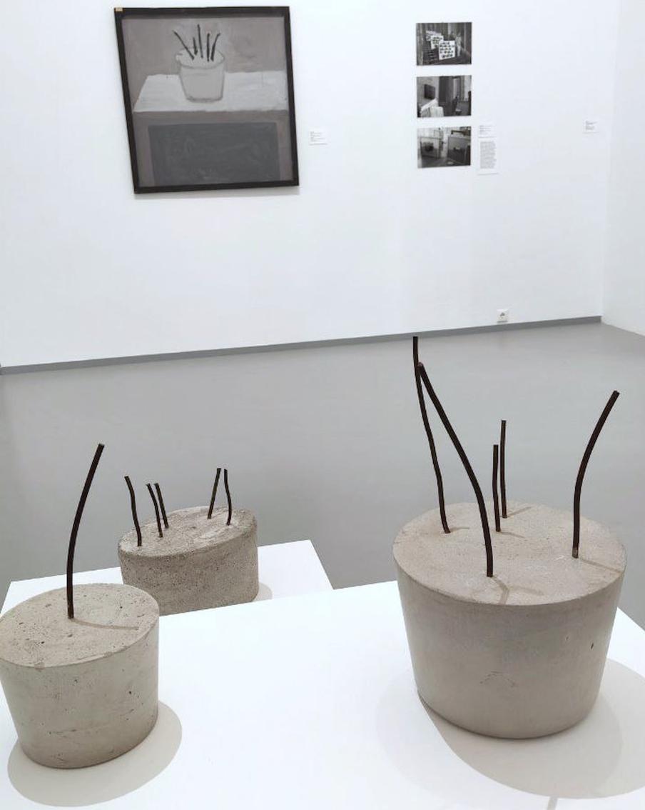 Аня Жёлудь. Комнатное растение. 2009–2010 гг. Предоставлено галреей Gridchinhall.