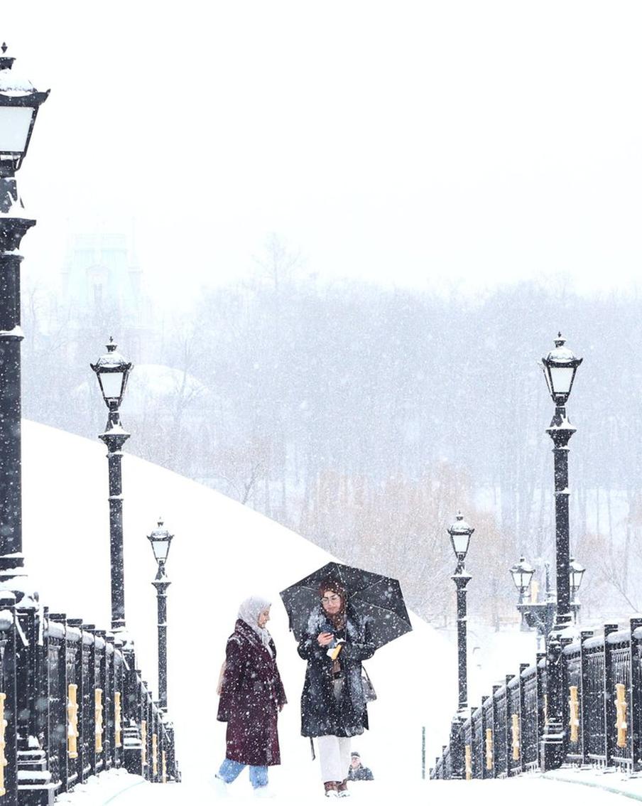 Снег никуда не денется, предупреждают синоптики