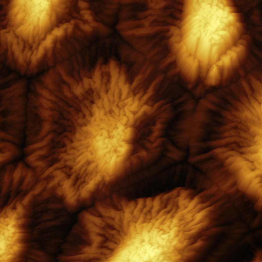 Тайны лепестка розы