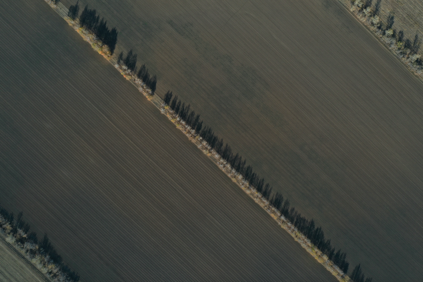 Лоскутное одеяло Сибири