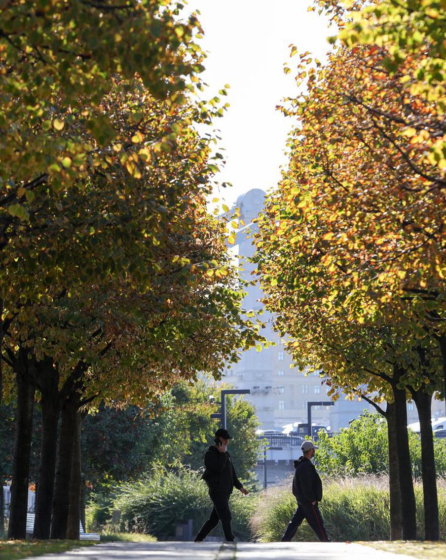 Евгений Тишковец рассказал, какая погода ждёт жителей и гостей Москвы в первые выходные октября