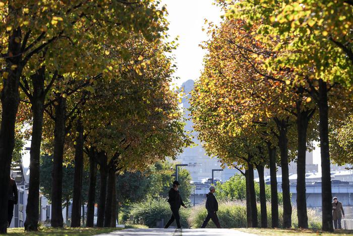 Евгений Тишковец рассказал, какая погода ждёт жителей и гостей Москвы в первые выходные октября