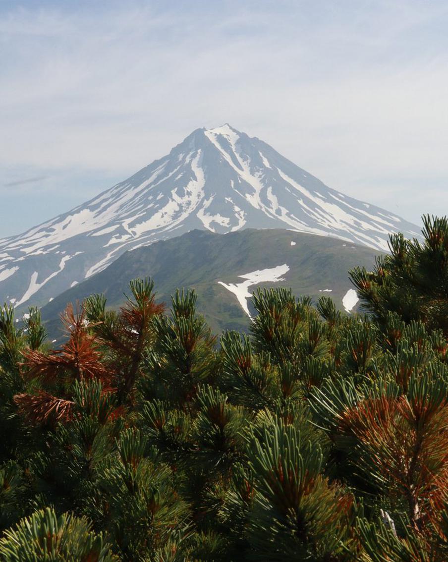 На Камчатке обнаружены двое сорвавшихся с вулкана Вилючинский туриста, ведутся поиски третьего члена группы