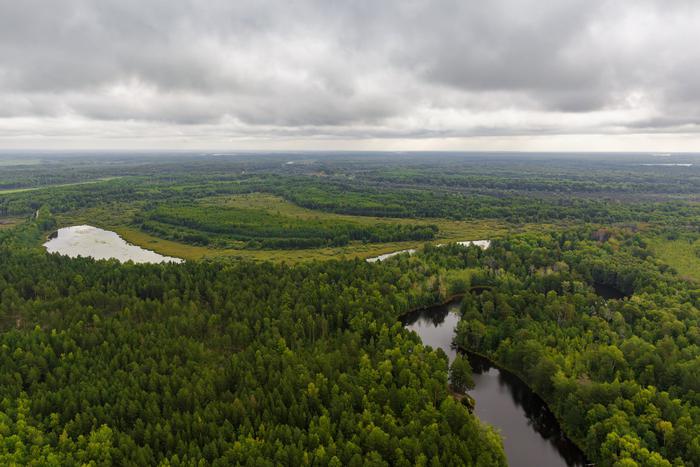 Группировку для поисков пропавшей семьи в Красноярском крае увеличили