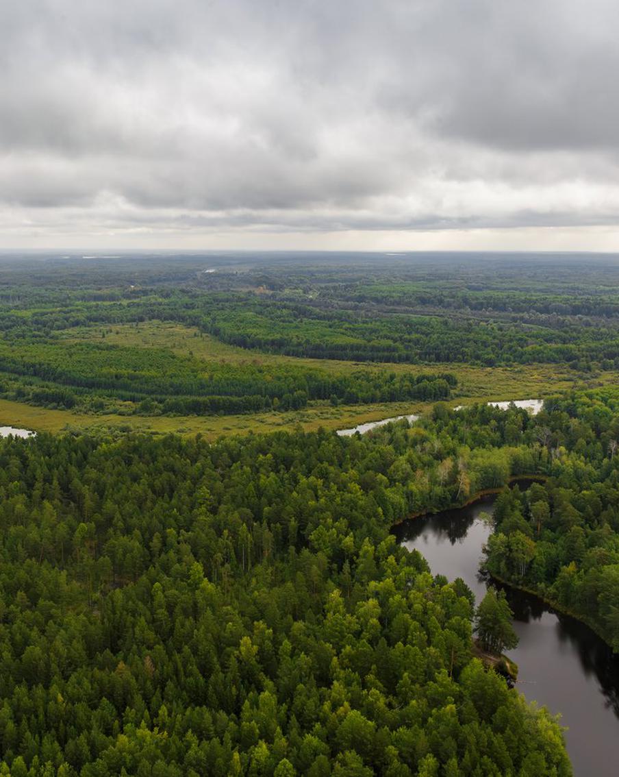 Группировку для поисков пропавшей семьи в Красноярском крае увеличили