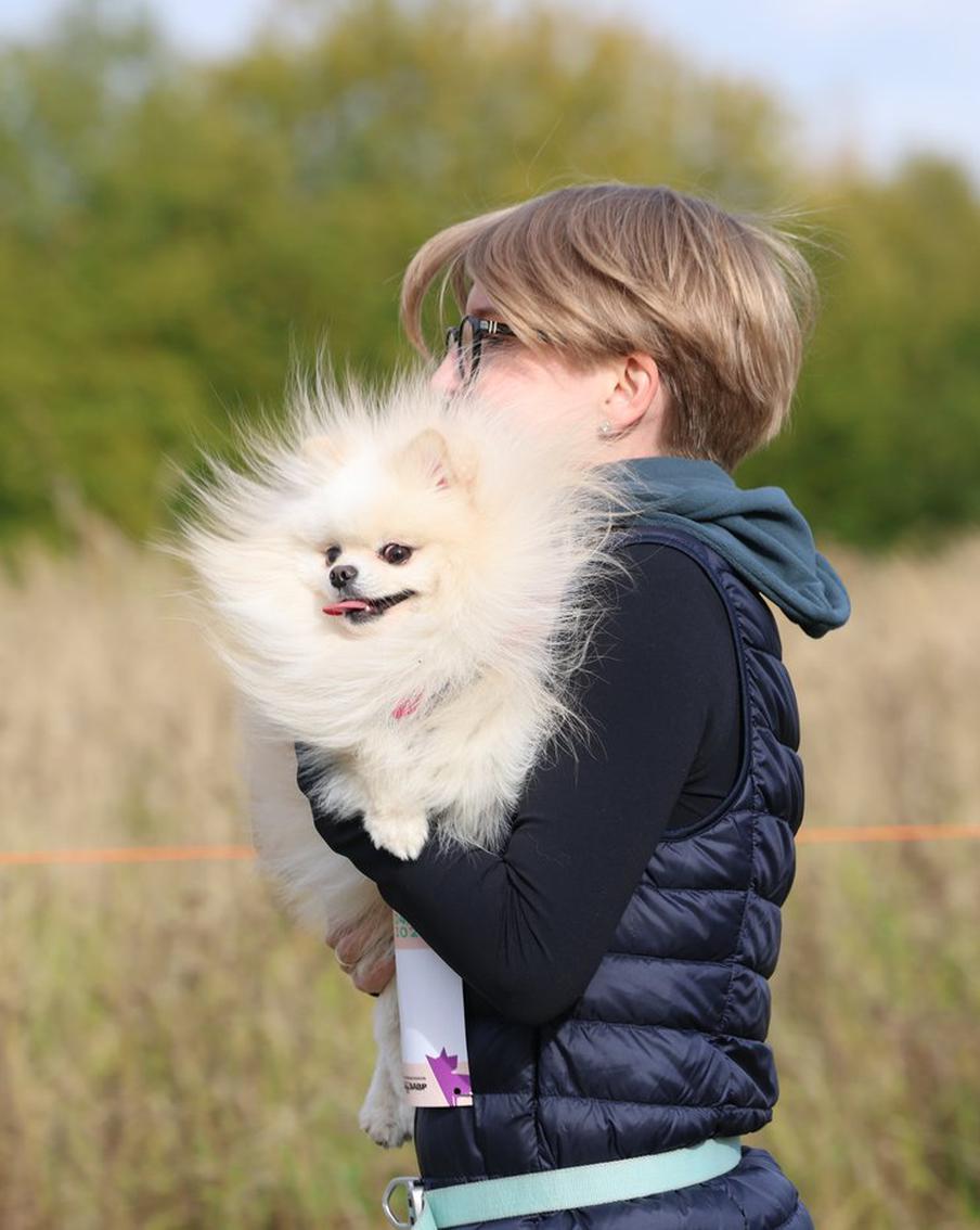 Добежать до финиша проще, если рядом свой человек: как прошёл осенний забег с собаками