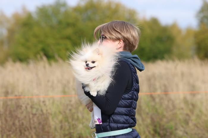Добежать до финиша проще, если рядом свой человек: как прошёл осенний забег с собаками