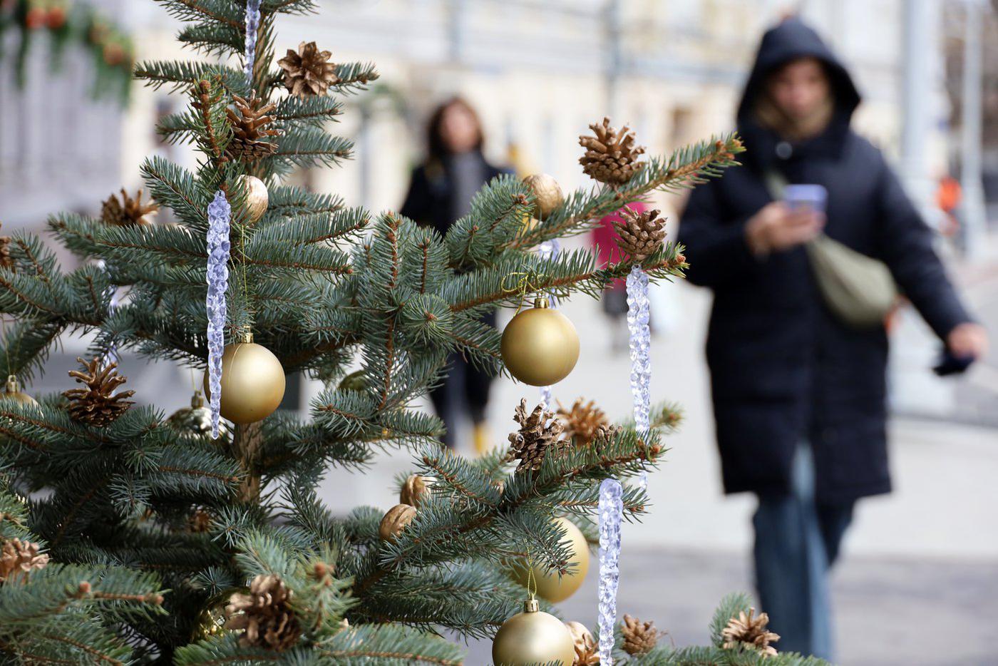 Минтруд назвал новогодние выходные 2026-го самыми долгими за многие годы