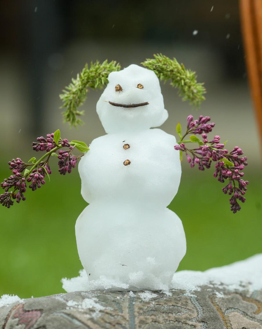 Москвичам рассказали когда в столице ожидать выпадение первого снега