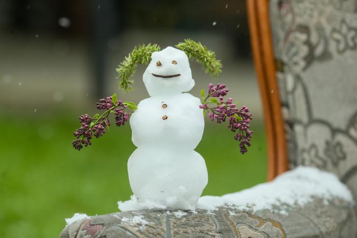 Москвичам рассказали когда в столице ожидать выпадение первого снега