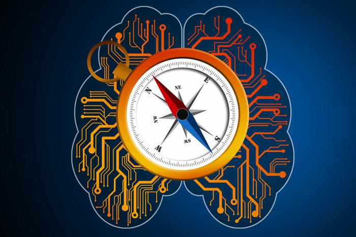 Американские учёные предположили, почему человек теряет ориентацию в пространстве