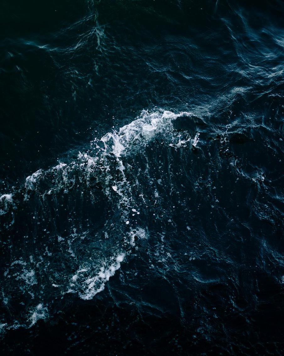 Потемнение Мирового океана: растущая угроза для морских экосистем, погоды и инфраструктуры России