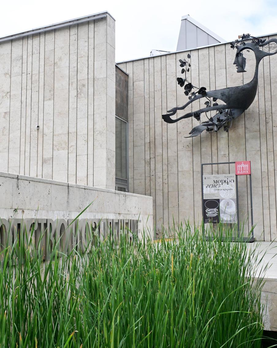 В Биокластере на ВДНХ можно посмотреть "Дом мальчика-оборотня"