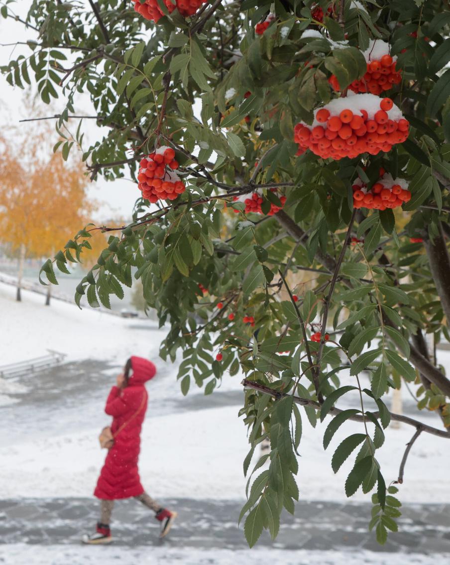 Жителей и гостей Москвы предупредили о приходе в город первого снега в этом сезоне