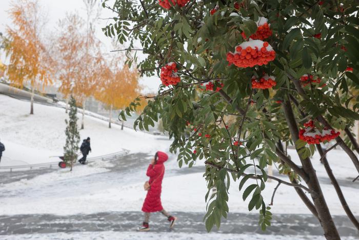 Жителей и гостей Москвы предупредили о приходе в город первого снега в этом сезоне