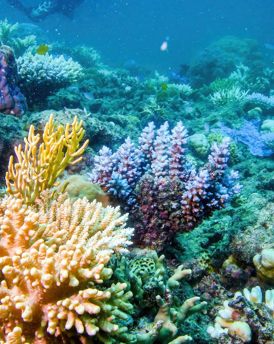 Учёные предупреждают о наступлении первой точки невозврата в изменении климата Земли