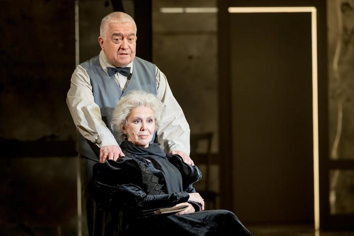 Три аршина земли спасут от скуки и бессонницы. В Театре Маяковского показали премьеру — "Скучную историю" по рассказу Чехова