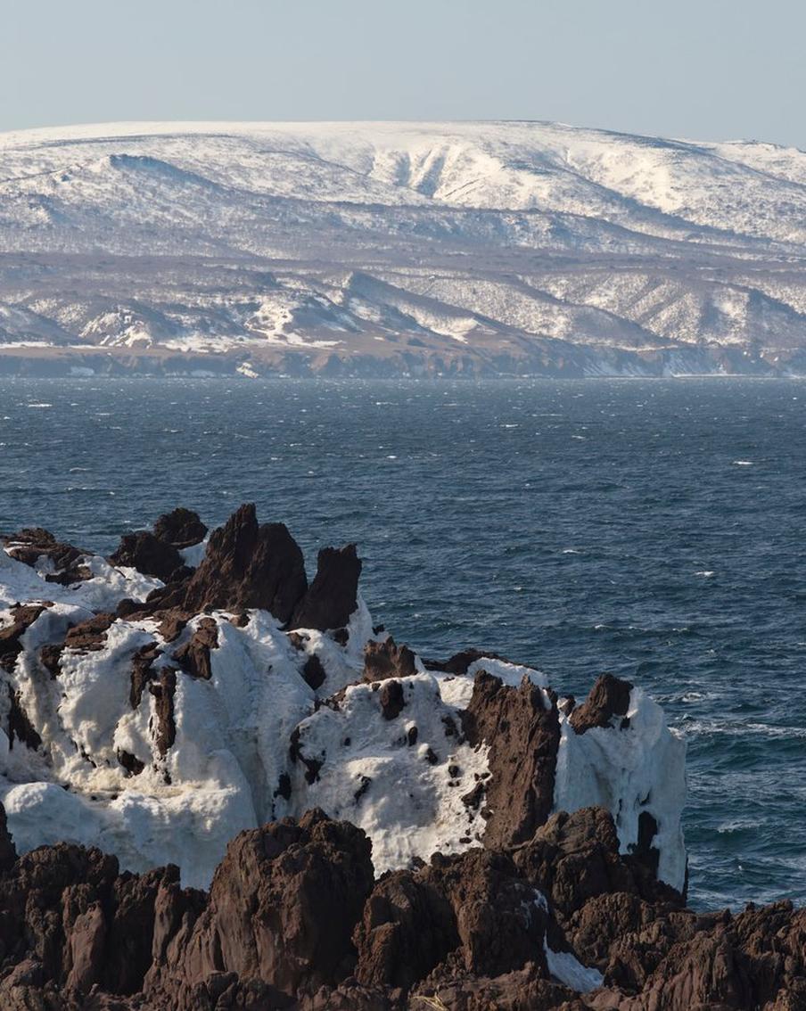 Курильские рыбаки поймали тунца-гиганта стоимостью свыше 160 млн рублей