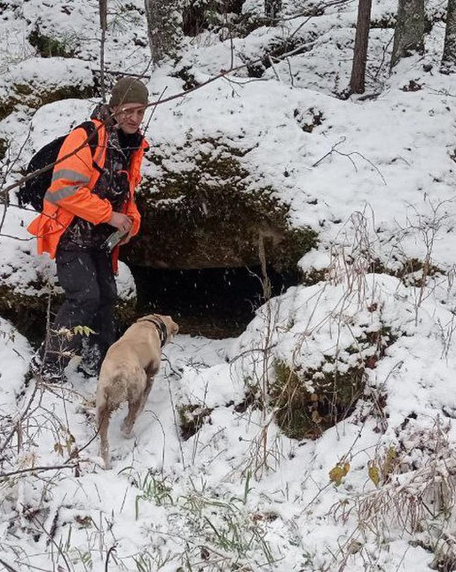 Браконьеры, медведь, побег: что произошло с Усольцевыми, которые пропали в тайге