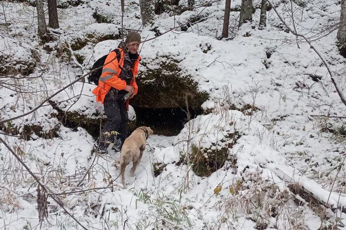 Браконьеры, медведь, побег: что произошло с Усольцевыми, которые пропали в тайге