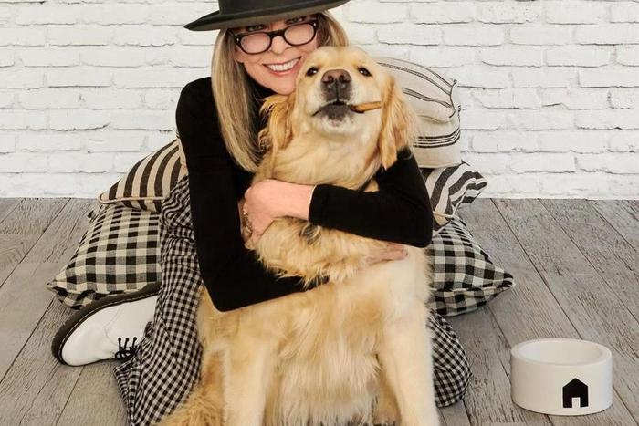 Американская актриса Дайан Китон оставила своей собаке крупную сумму в наследство