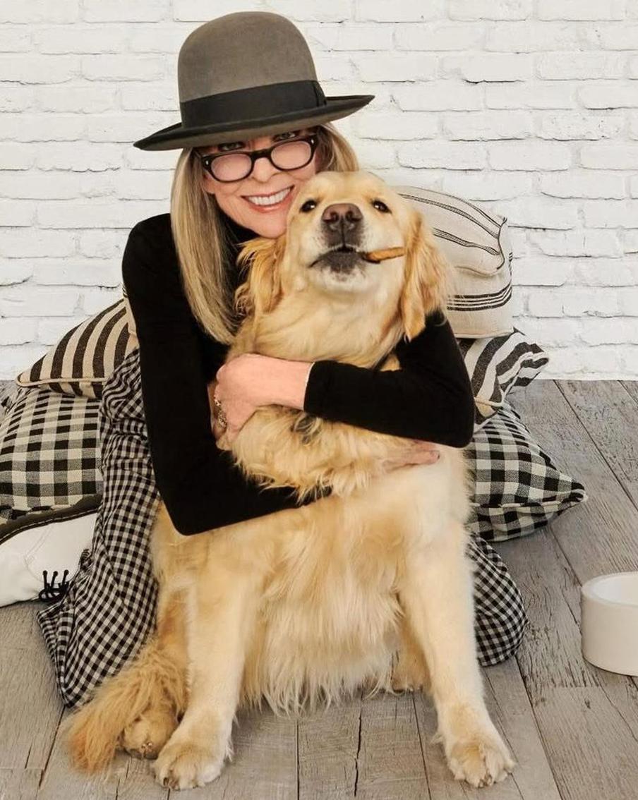 Американская актриса Дайан Китон оставила своей собаке крупную сумму в наследство