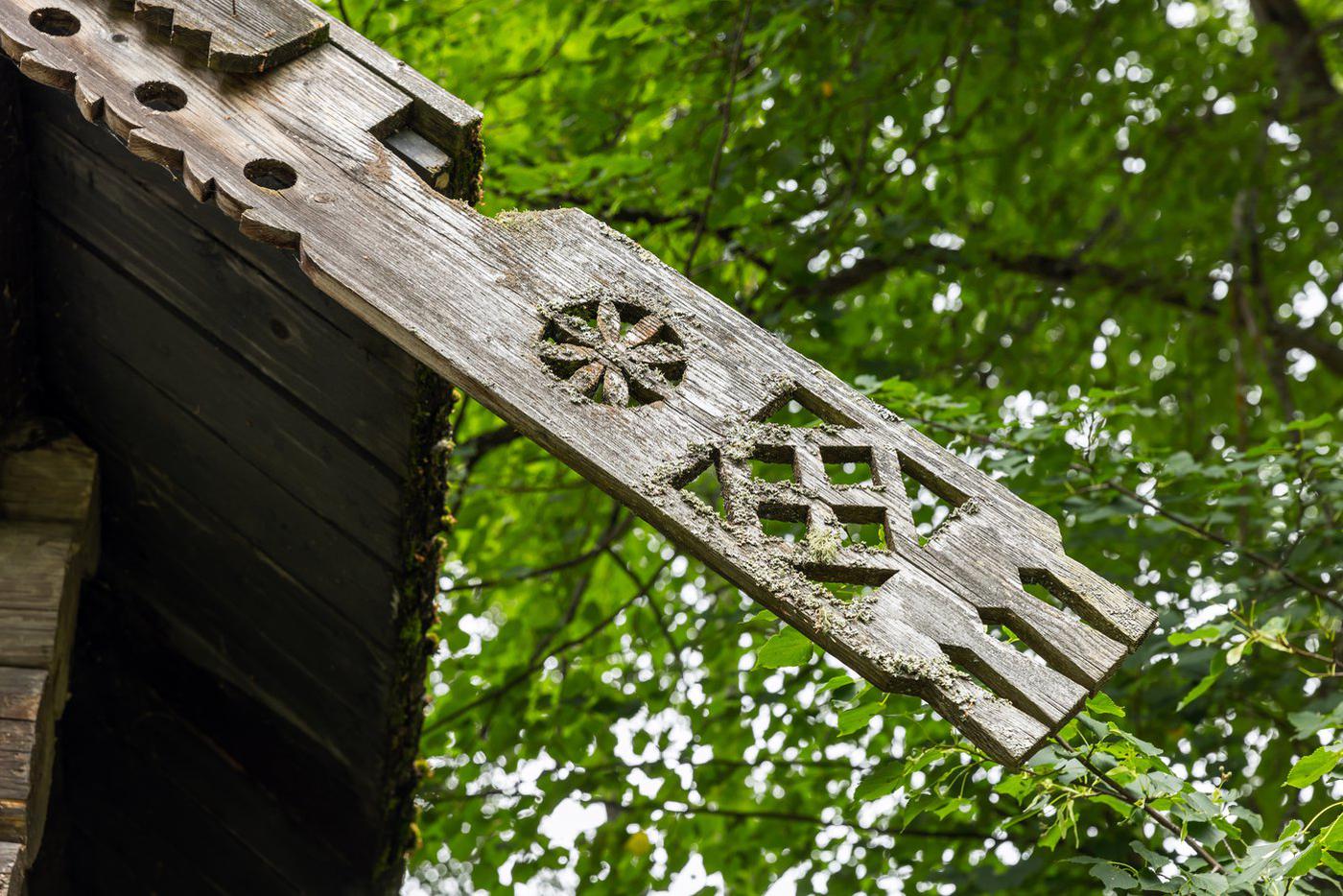 Руководитель поискового отряда Торгашина: Усольцевы могли встретить староверов