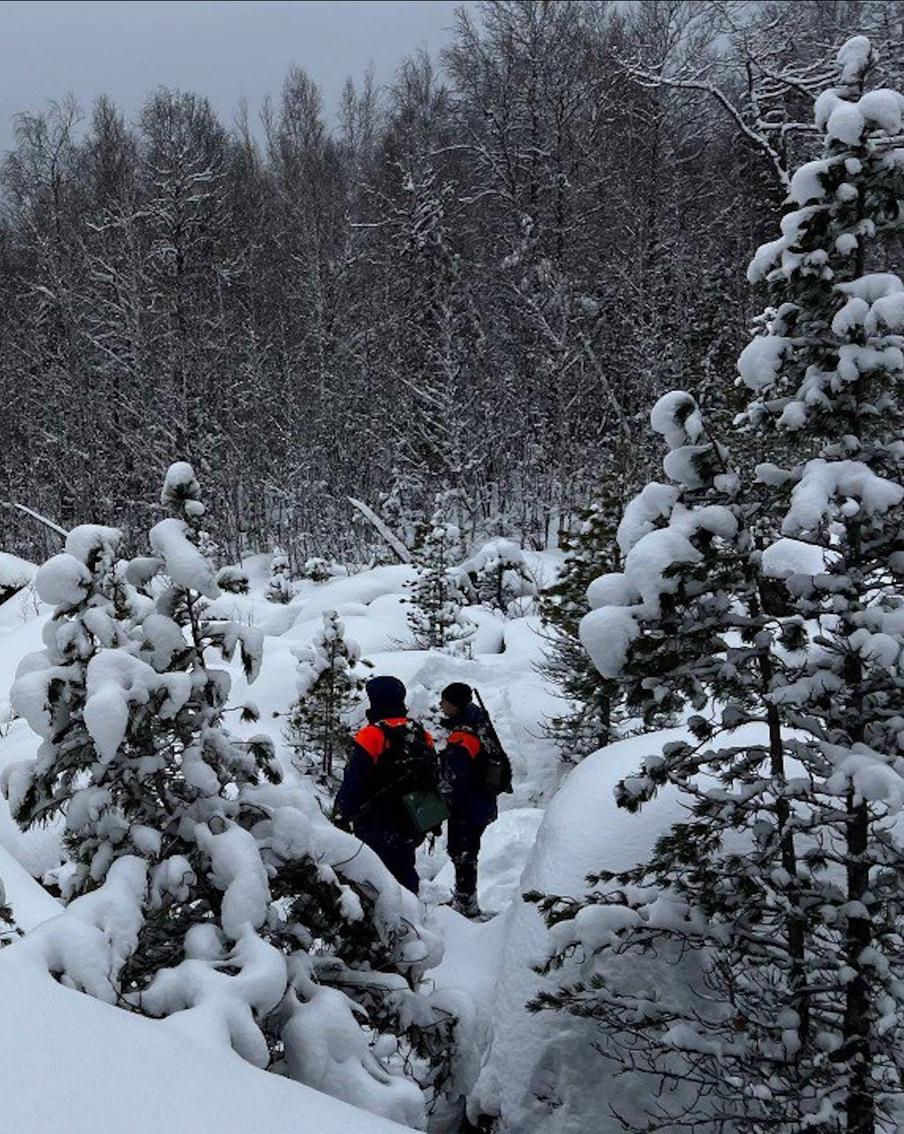 Спасатель Денис Киселёв: внимание к делу Усольцевых вызывает вопросы