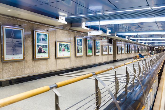 Выставка, посвящённая 80-летию Приокско-Террасного заповедника, открылась в "Деловом центре"