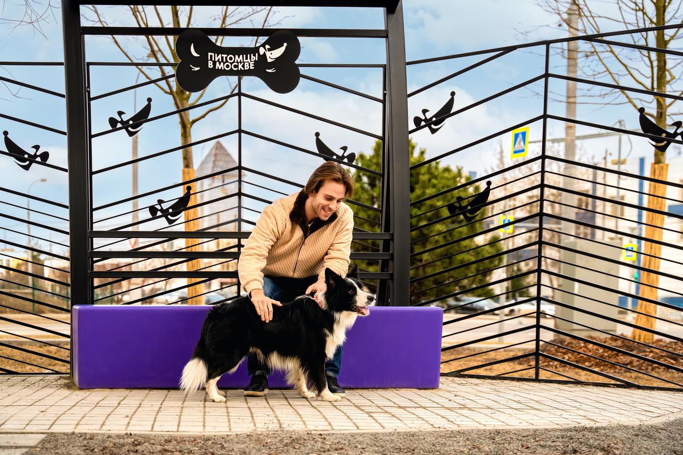 Сервис "Моспитомец" поможет найти дом большому числу животных — зампред МГД