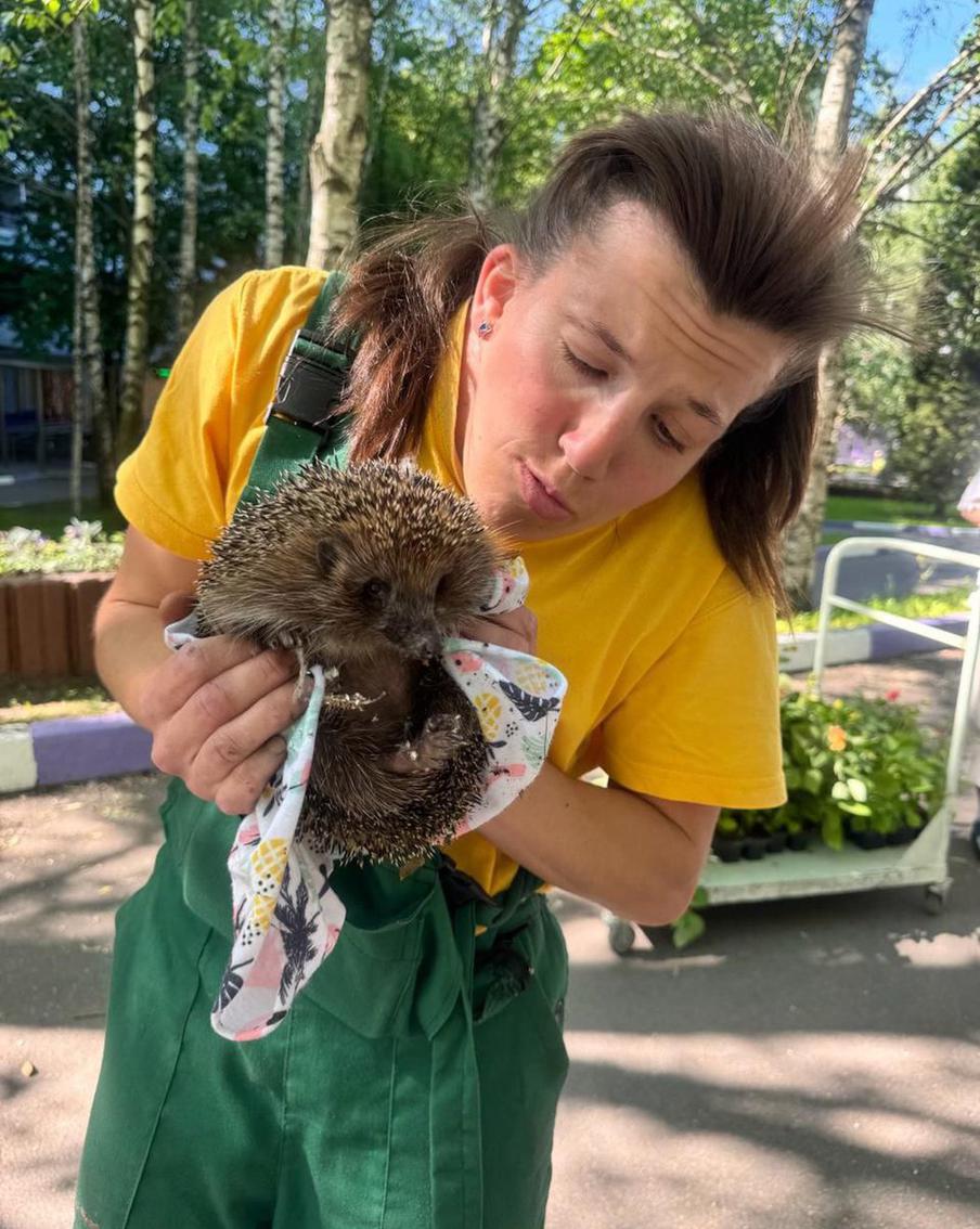 Аня любит животных и не прочь взять на руки даже ежа