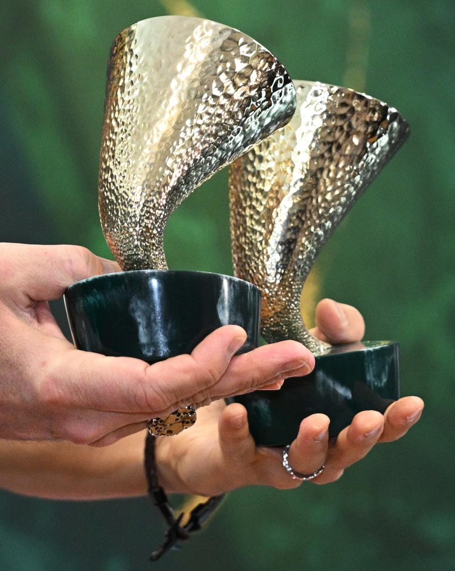 Юбилей "Золотого граммофона": Дубцова пришла с женихом, а Жасмин стала бабушкой