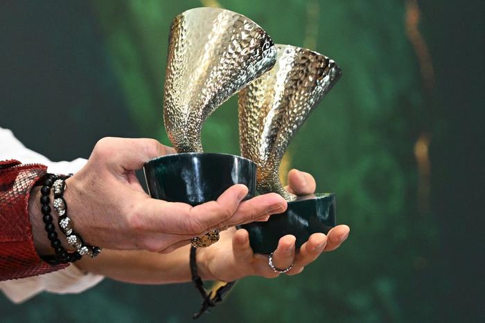 Юбилей "Золотого граммофона": Дубцова пришла с женихом, а Жасмин стала бабушкой