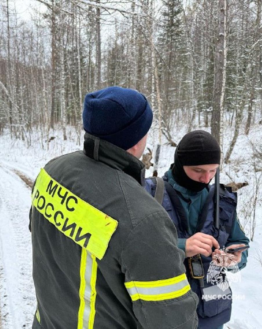Усольцевых якобы увидели за тысячу километров от тайги
