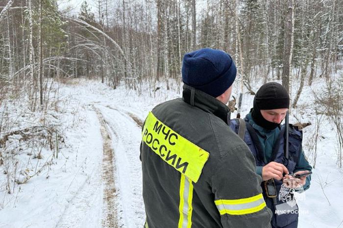 Усольцевых якобы увидели за тысячу километров от тайги