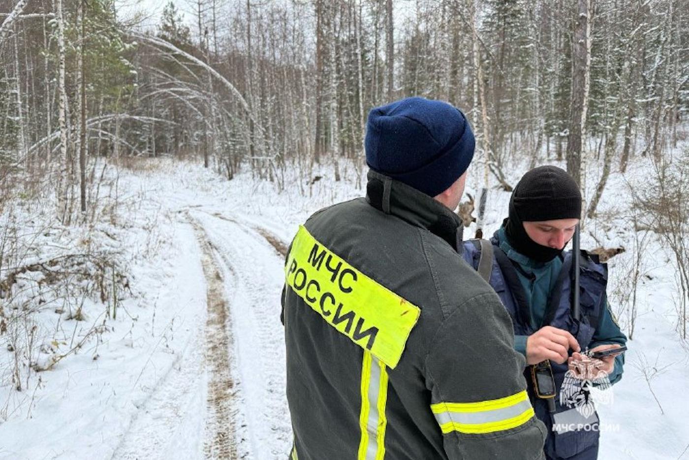 Семью, пропавшую в тайге, якобы увидели в Новосибирске без ребёнка