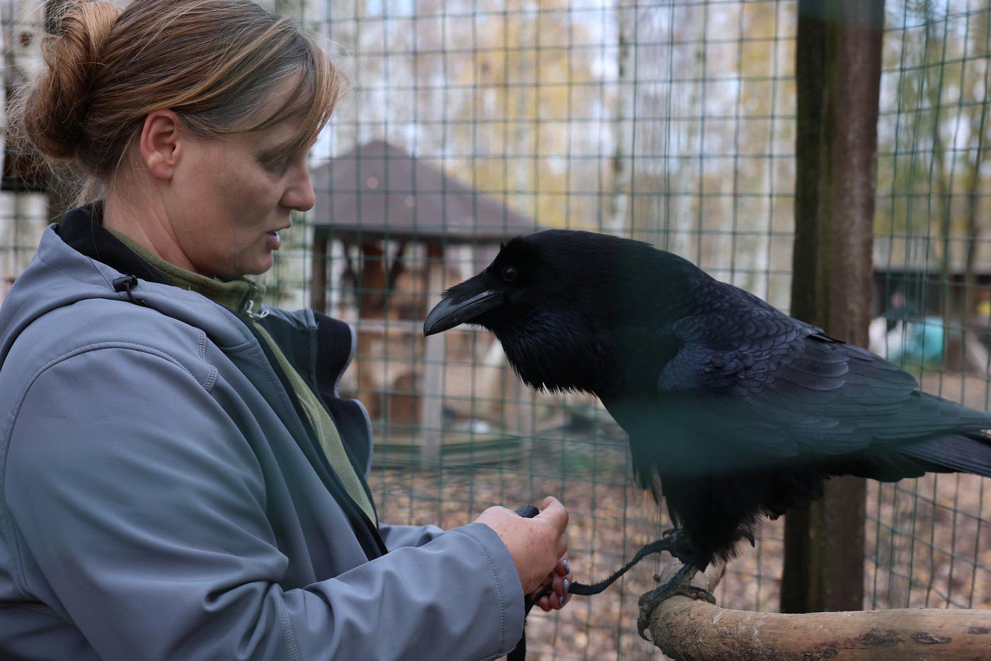 Вольер у Карлуши достаточно просторный – именно в нём он проводит всё свободное время.