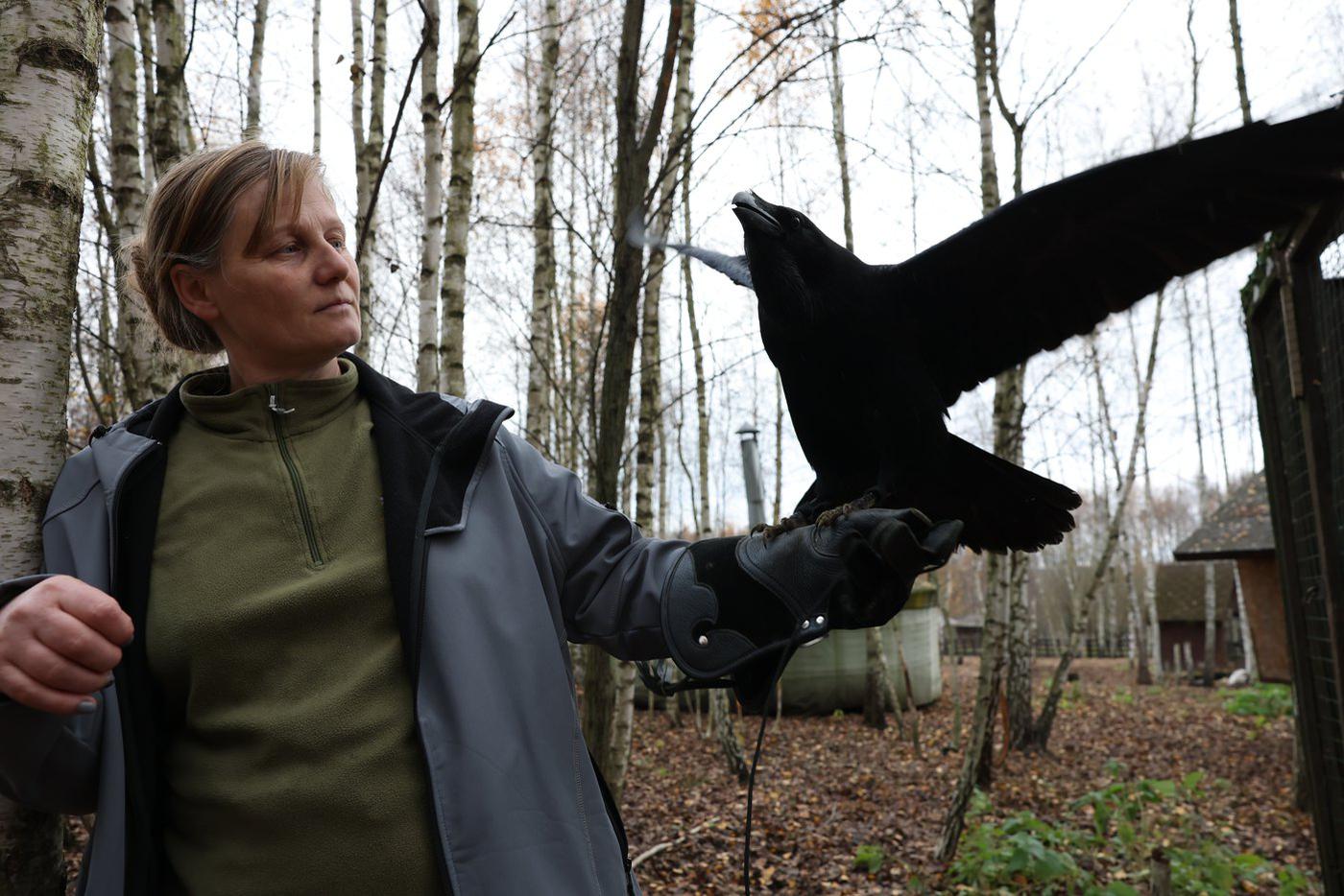 Он – не ужас на крыльях ночи. Он – Карлуша. А Карлуша – молодец!