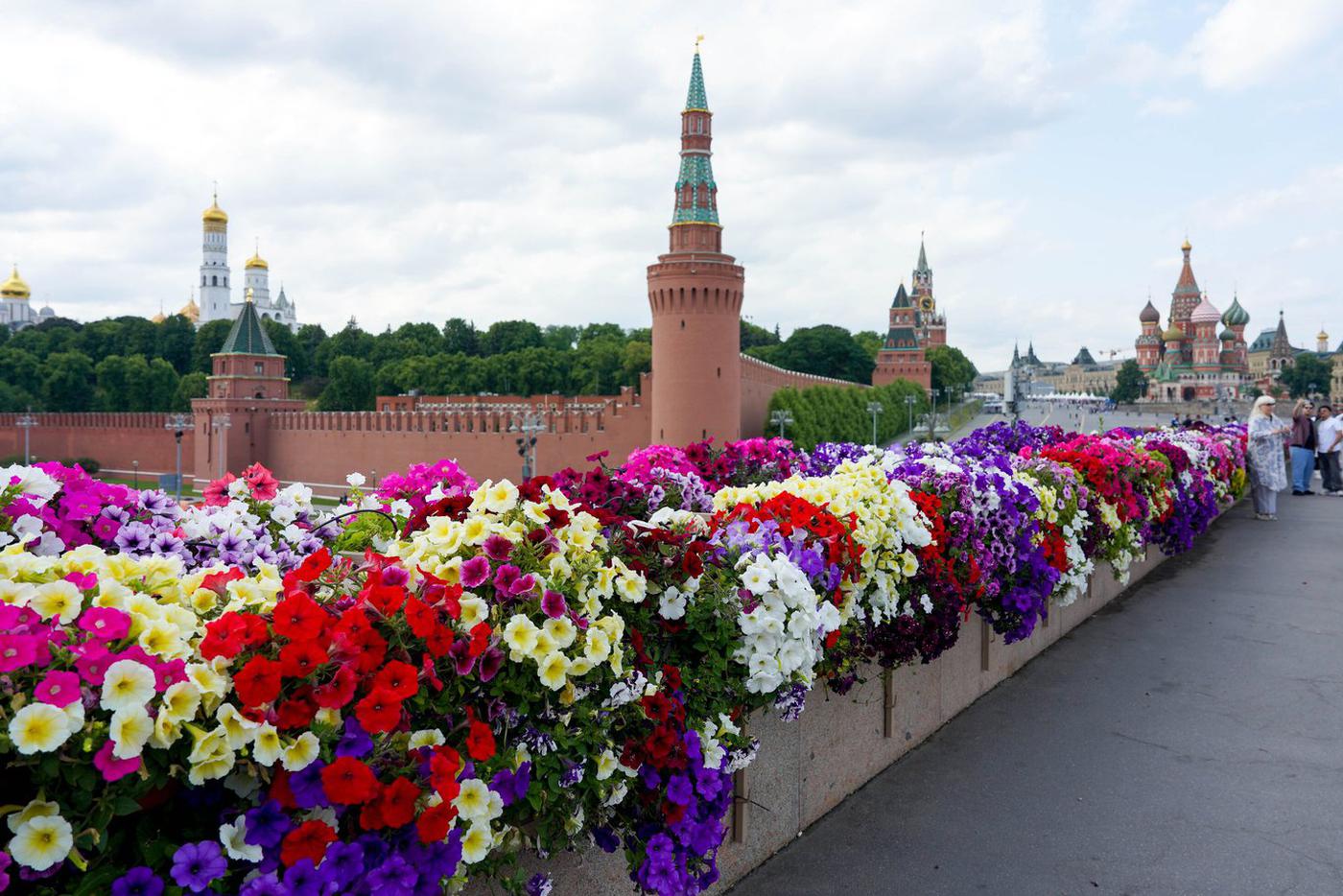 Гортензии, клёны, фотинии: москвичи оценили площадки фестиваля "Сады и цветы"