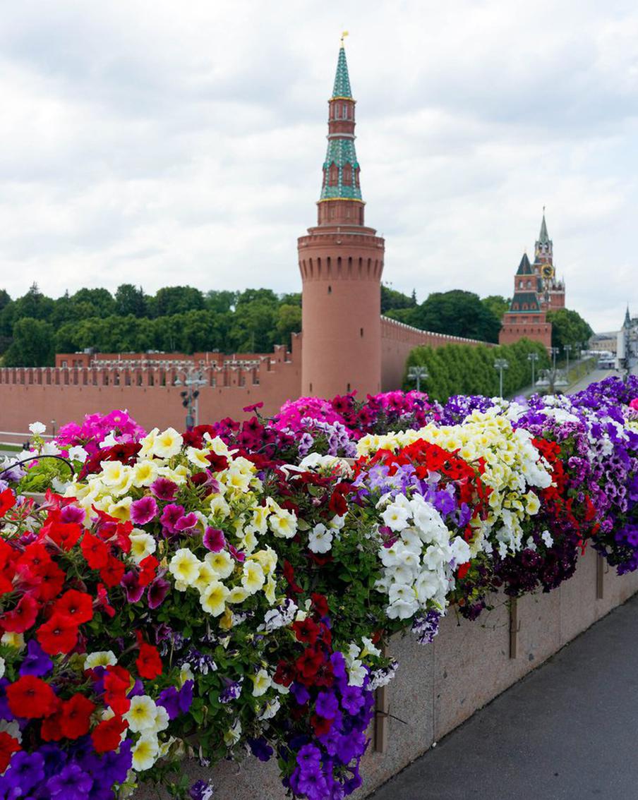 Названы самые популярные площадки московского проекта "Сады и цветы"