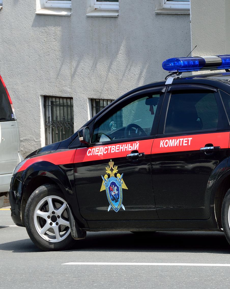 Общественница Рудницкая полностью признала вину по делу о торговле детьми