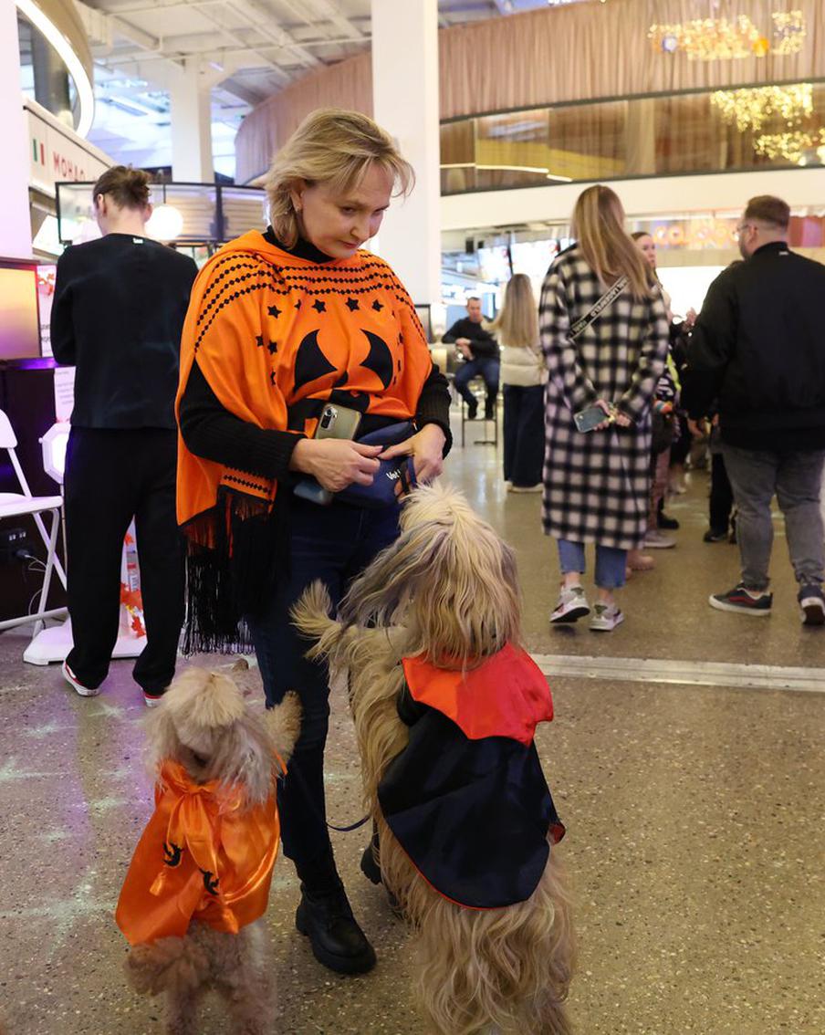 Собаки в ярких костюмах боролись за призы: в столице прошёл Хэллоуин для животных
