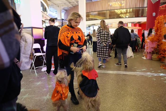 Собаки в ярких костюмах боролись за призы: в столице прошёл Хэллоуин для животных