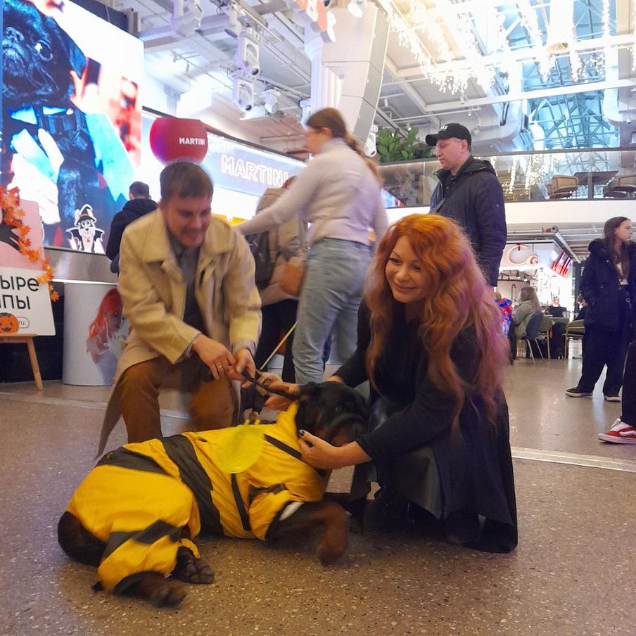 Ротвейлер Помидор помог репортёру Metro перестать бояться больших собак.