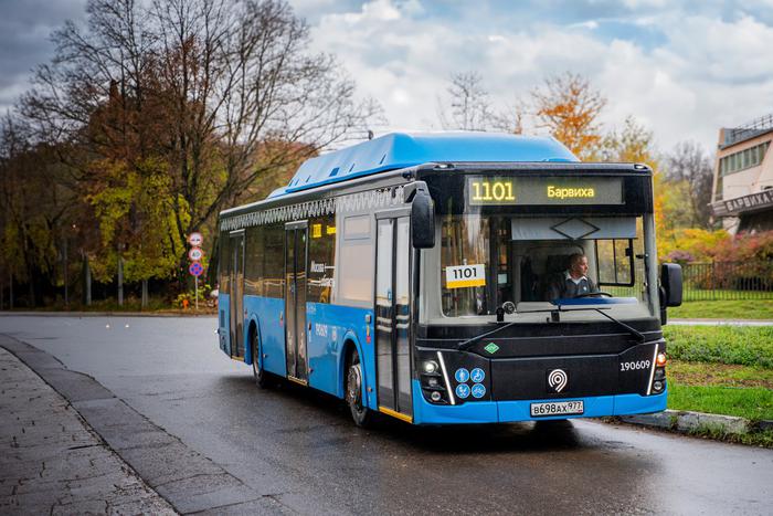 Новые маршруты в ближайшее Подмосковье запустят с 8 ноября