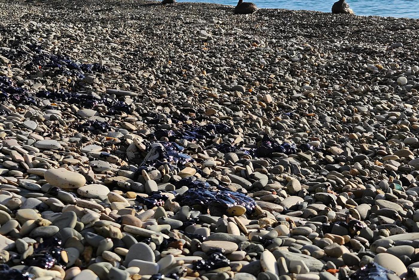 Что происходит сейчас в Туапсе, где сообщалось о якобы разливе нефти после атаки на город беспилотников ВСУ