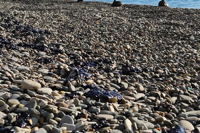 Что происходит сейчас в Туапсе, где сообщалось о якобы разливе нефти после атаки на город беспилотников ВСУ