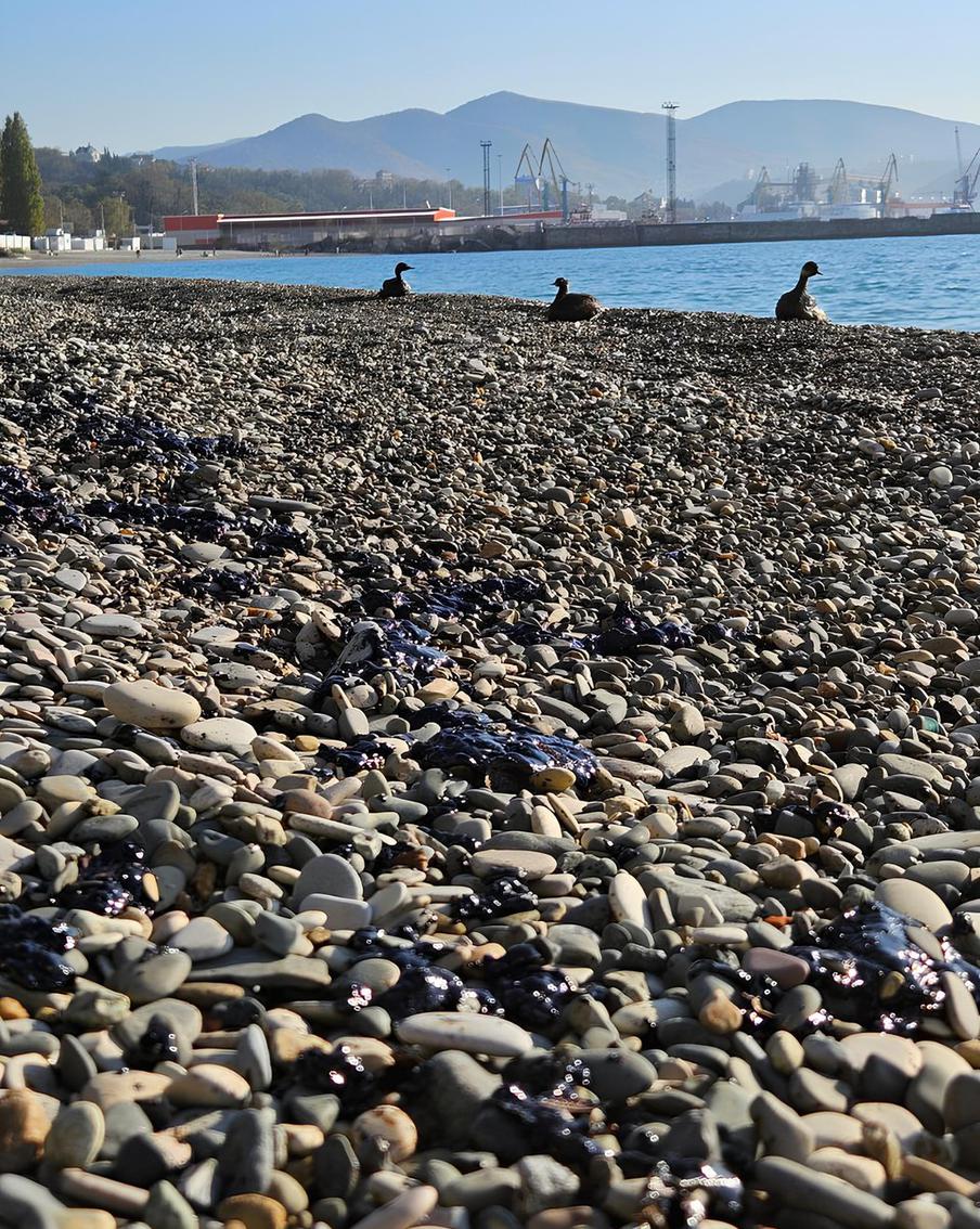 Что происходит сейчас в Туапсе, где сообщалось о якобы разливе нефти после атаки на город беспилотников ВСУ