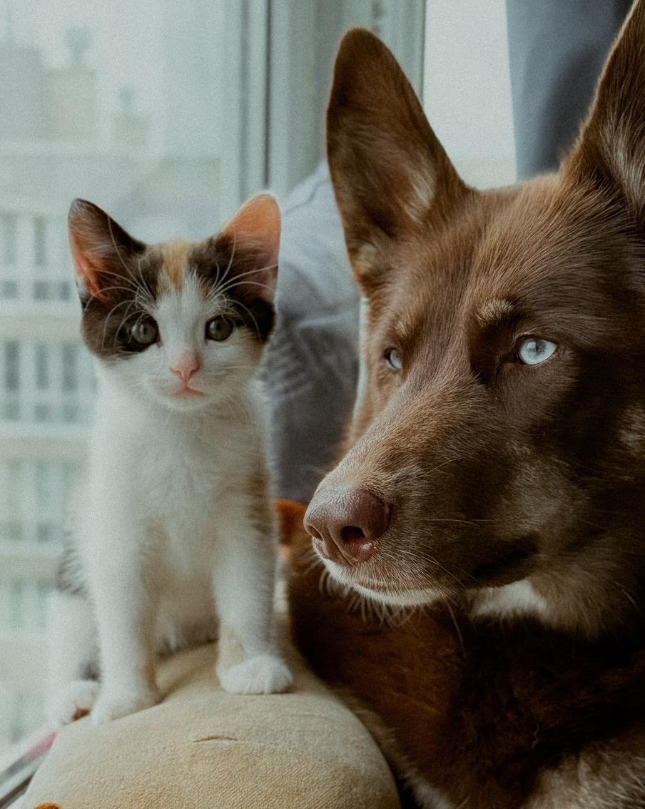 Материнский инстинкт Юми доказывает – чужих детей не бывает.