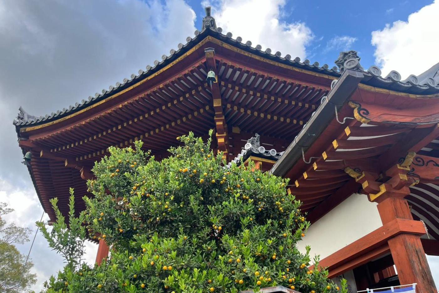 Синтоистский храм в Наре.